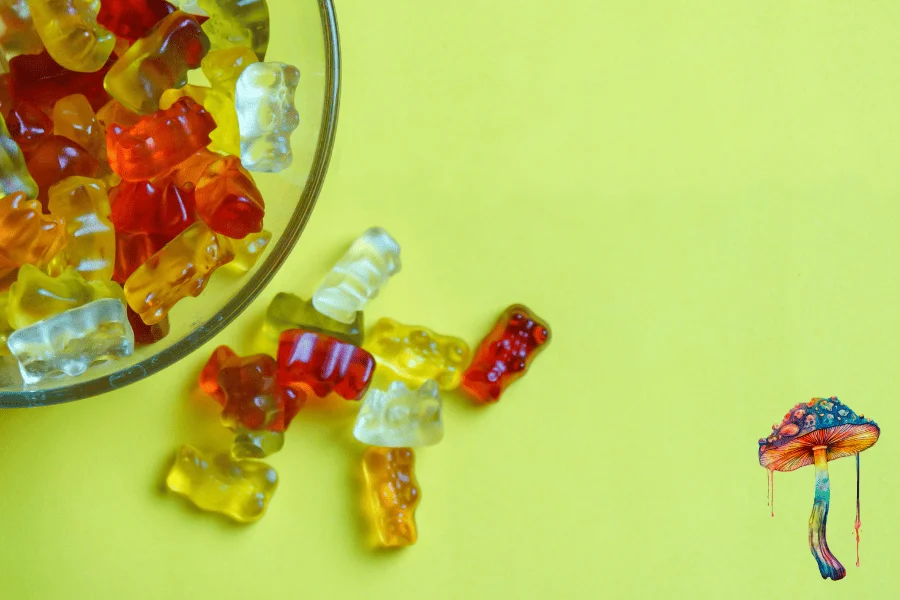 amanita mushrooms gummies